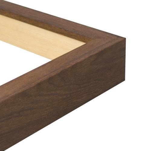 Botanica Box 25w x 50h Chocolate