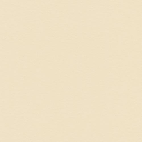 Crescent Museum Solid 32x40 Beige