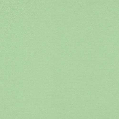 ~Crescent Rag 32x40 Gecko CLEARANCE PRICE
