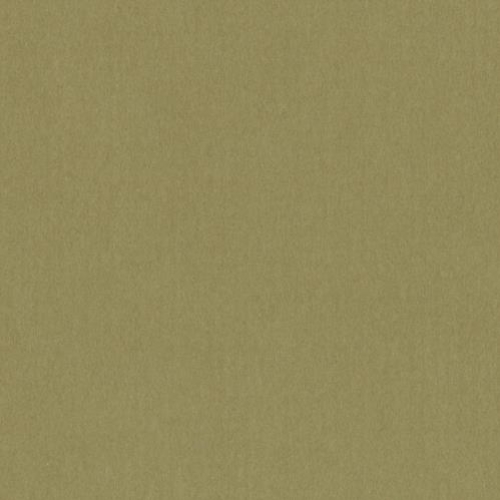 ~Crescent Rag 32x40 Grecian Olive