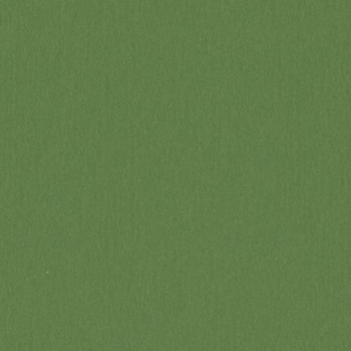 Crescent Rag 32x40 Avocado