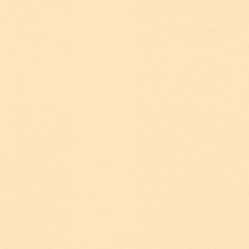 Crescent Rag 32x40 Antique Buff