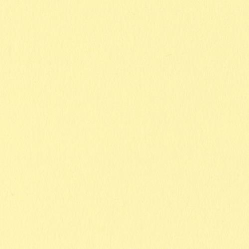 Crescent Rag 32x40 French Jonquil