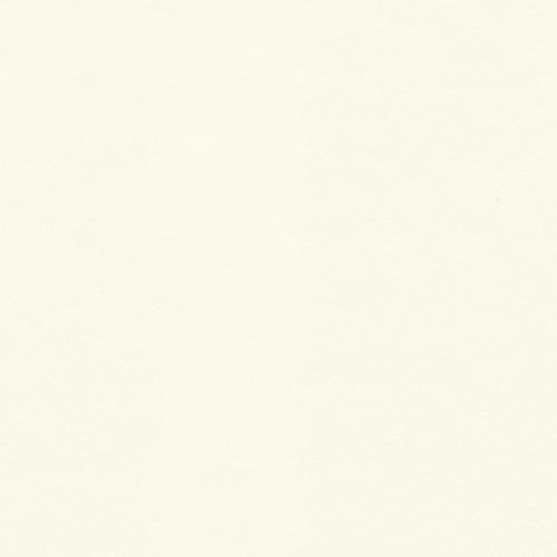 Crescent Rag 32x40 Optic White