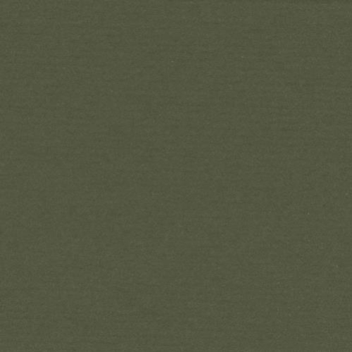 Crescent Rag Ant 32x40 Dark Olive