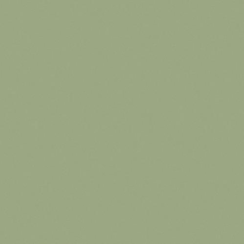 Crescent Rag 40x60 Sage