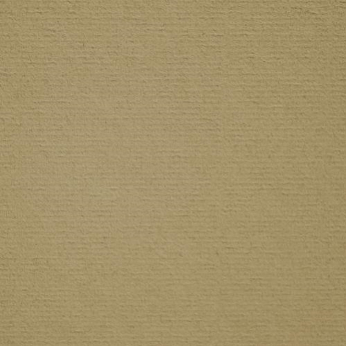 Crescent Select Cons 32x40 Fossil