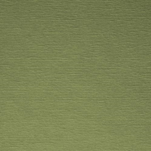 ~Crescent Rag 32x40 Sage EXACT SELECT A9527