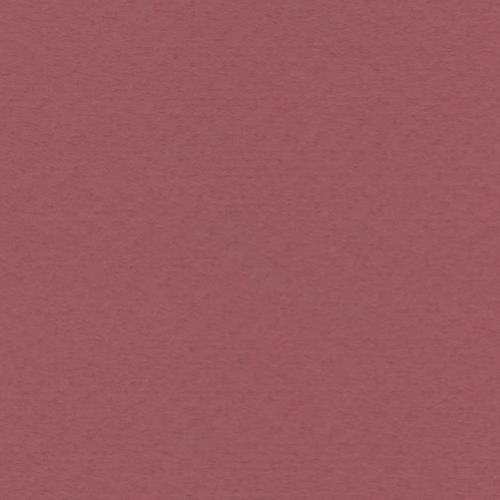 ~Crescent Select Cons 32x40 Rose Bush CLEARANCE PRICE
