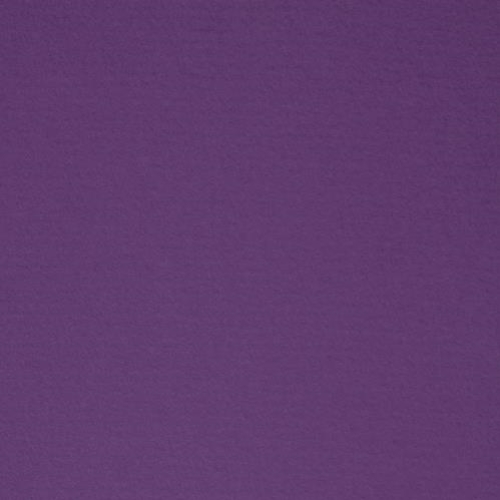 ~Crescent Select Cons 32x40 Purple Iris
