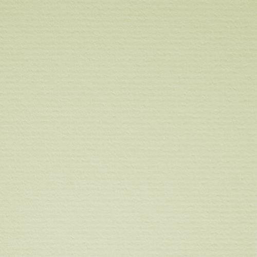 ~Crescent Whitecore 40x60 Tawny