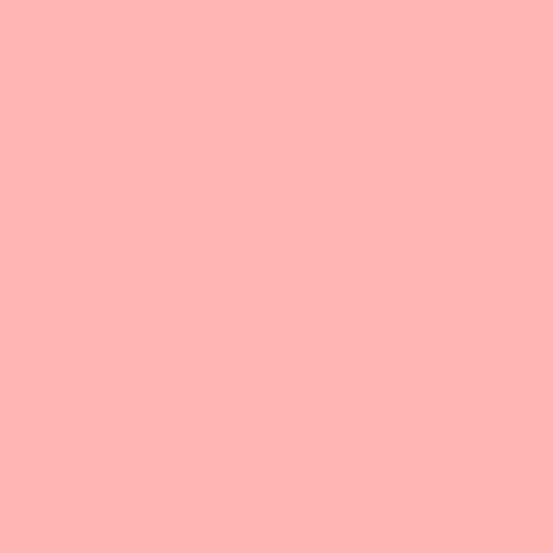 ~Peterboro Cons 32x40 Pink CLEARANCE PRICE