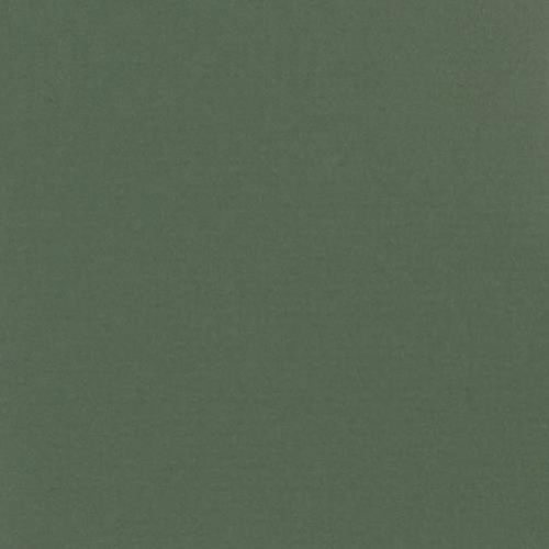 Peterboro Whitecore 32x40 Fern