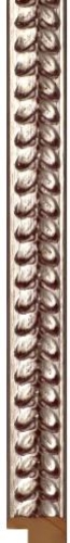 ~Graphics 80 Silver Fern