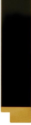 ~Graphics 80 Black