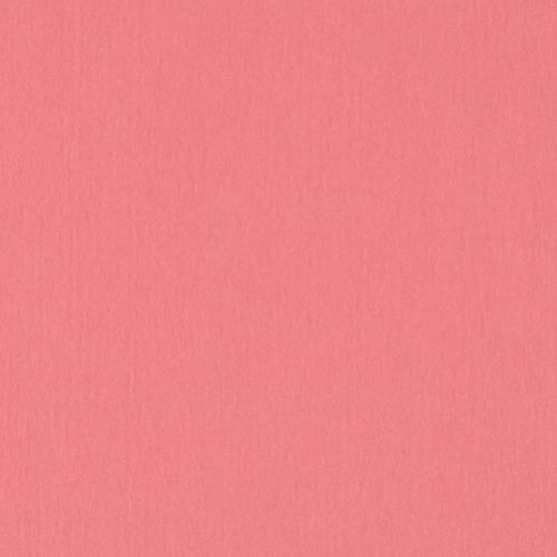 ~Crescent Select Cons 32x40 Fiji Coral