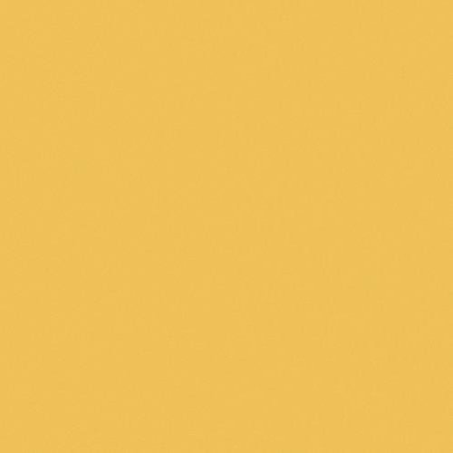 ~Crescent Rag 32x40 Chamois Gold CLEARANCE PRICE