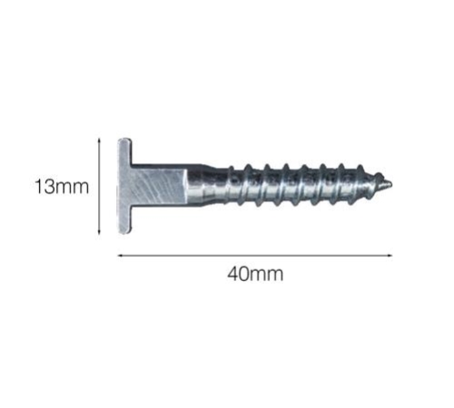 Security Screw (1)